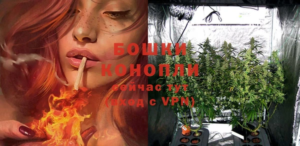 кристаллы Осинники