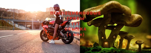 крисы Остров