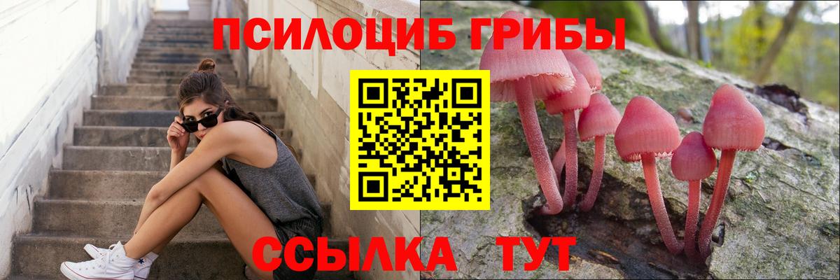 Галлюциногенные грибы Magic Shrooms  Вход с VPN  Чернушка  Псилоцибиновые грибы ЛСД 