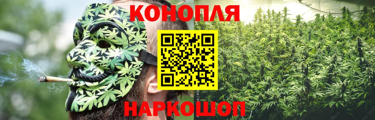 Чернушка  Каннабис планчик  Вход с VPN  Конопля LSD WEED  Бошки Шишки конопля 